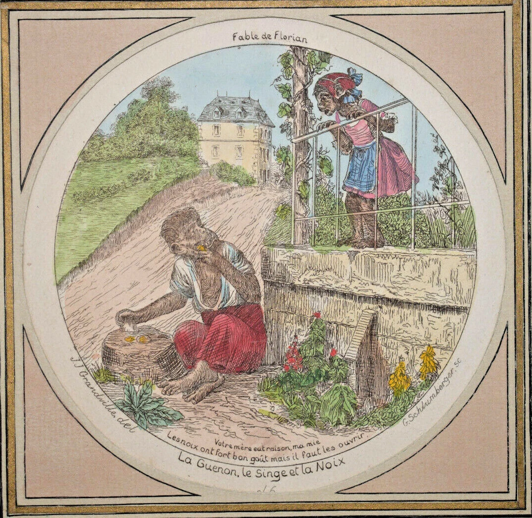 Dessin La Guenon Le Singe Et La Noix Guenon Singe Noix GRANDVILLE Gravure EAU FORTE Schlumberger FABLE DE FLORIAN | eBay