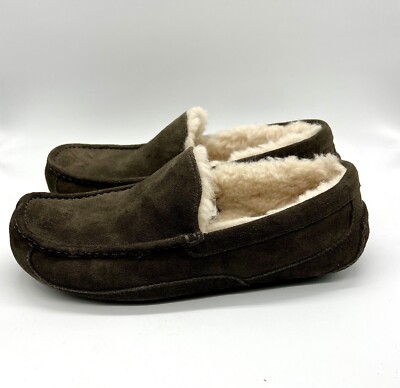 Uggs ascot brown wool slipper size 11 Men main image 2