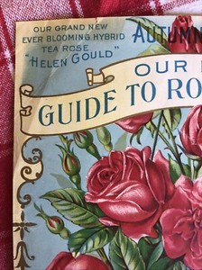 Antique Dingee & Conard Co. 1900 Rose Guide Cover