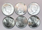 PEACE DOLLAR LOT! 6 TOTAL! BEAUTIFUL PIECES! GEMBU++++ STUNNING NR #64396