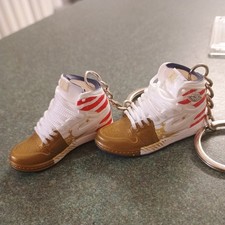 Jordan SB Dunk Keychains Collectible Mini Shoe Keyring With Display Box