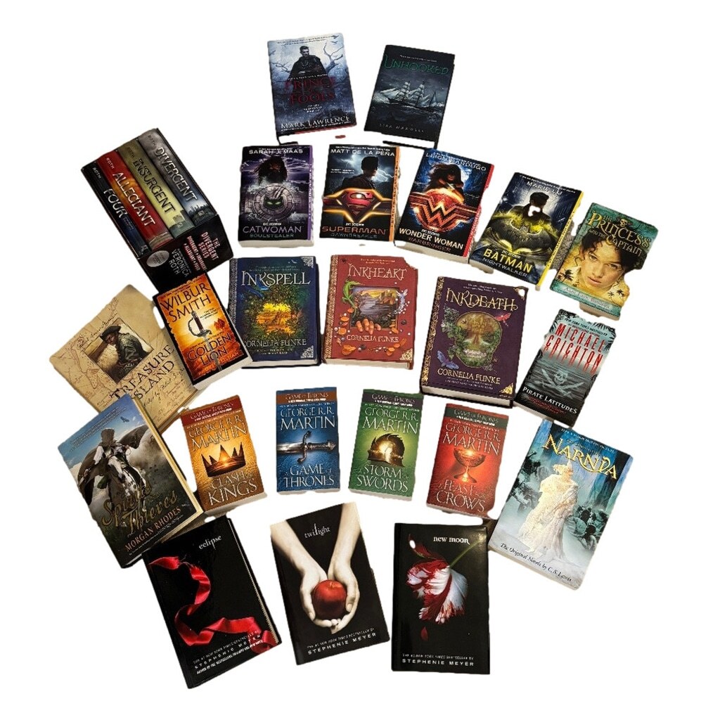 Fantasy Book Lot HUGE 26 Books Sarah J Mass Game of Thrones Twilight Divergent-image
