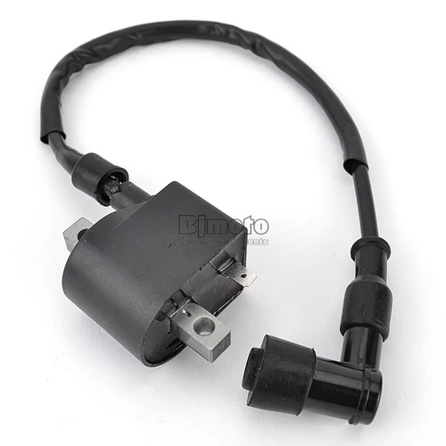 UNIT & COIL ASSY, IGNITION