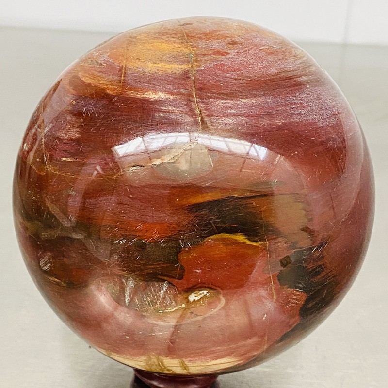Natural Petrified Wood Polished Stone Quartz Crystal Sphere Ball Healing 2220G