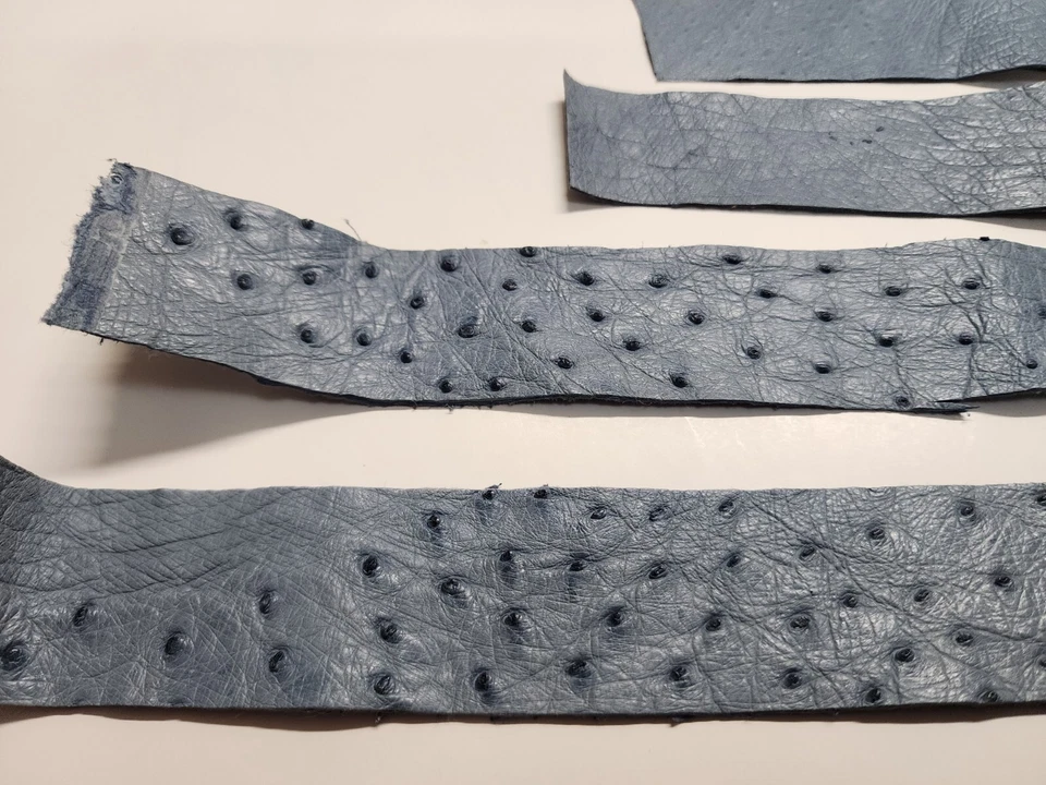 Tiras largas remanentes de piel de avestruz 8 piezas 0278 Foto 4 de 4