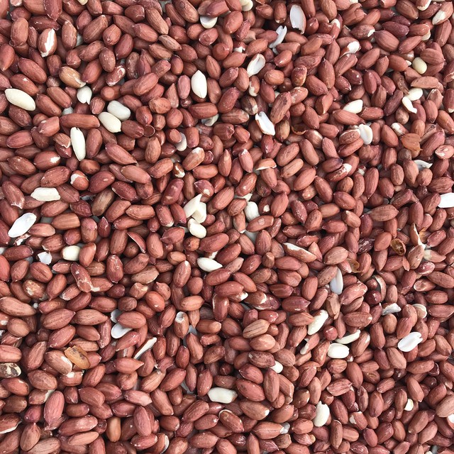 25Kg Standard Peanuts Economy Value Feed Wild Bird Food Safe High Oil