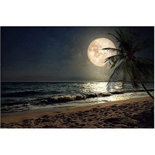 KTHOFCY 5D DIY Diamond Painting Kits for Adults Kids Beach Moon Full Drill