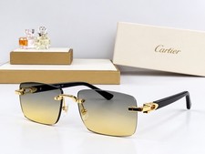 Cartier Rimless Unisex Sunglass