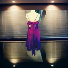 Watters & Watters Formal Occasion Dress Purple Silk Short Size  10 NWT Ret $270