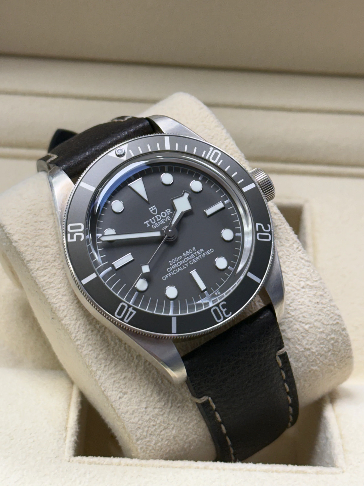 Tudor Blackbay 58 925
