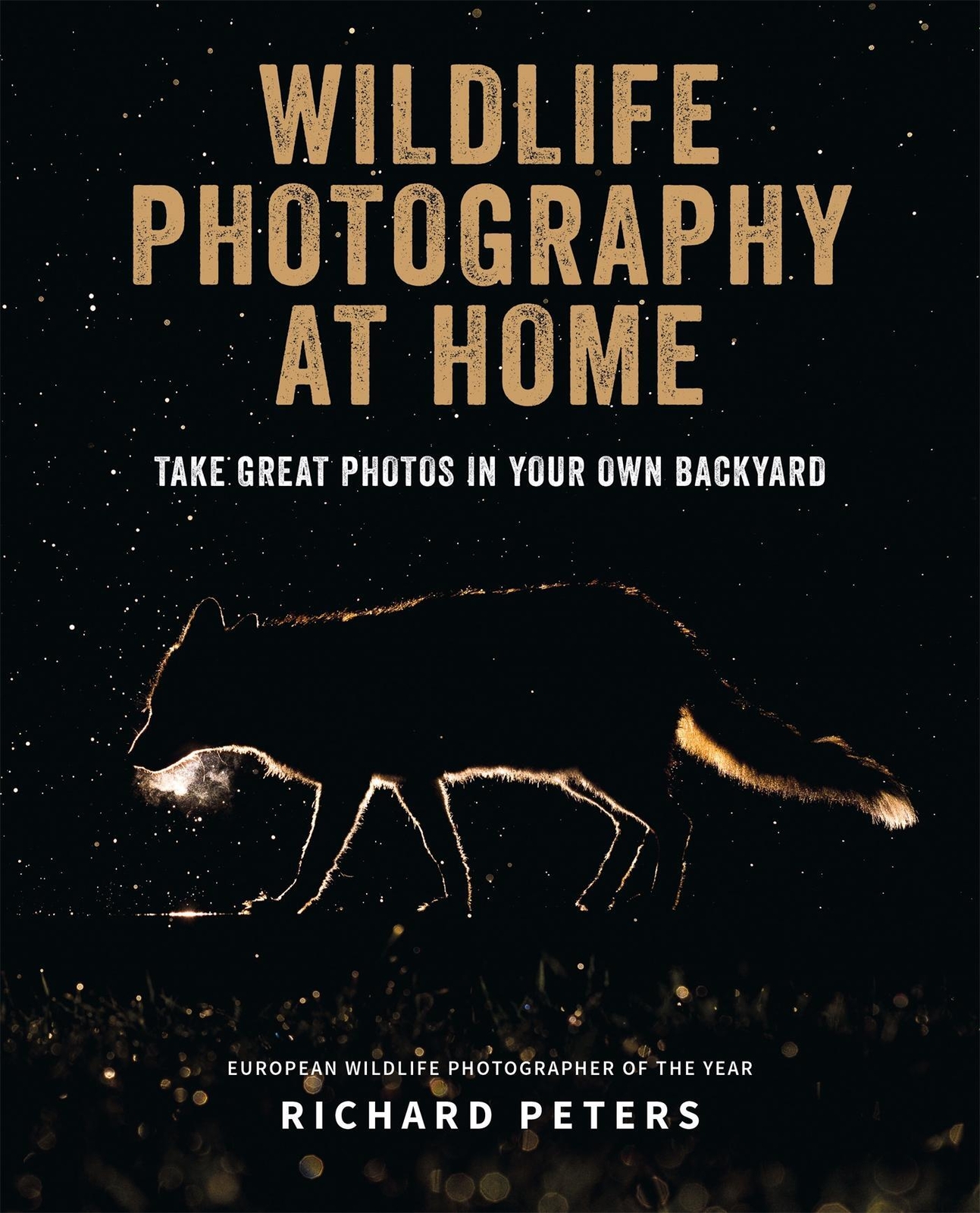 Thumbnail - Richard Peters | Wildlife Photography At Home | Taschenbuch | Englisch