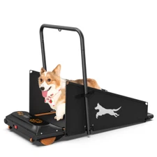 Indoors Pet Running Training Walk Machine Dog Treadmill For Small/Medium Dogs