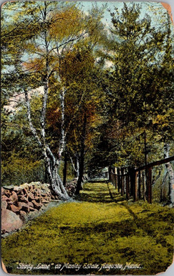 Shady Lane on MANLEY ESTATE Augusta, Maine ME c1911 Postcard