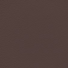 Nissan Chestnut Leather Dye