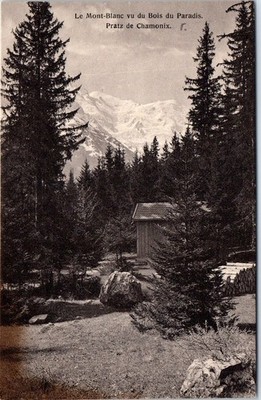 74 Le mont blanc vu du bois du paradis