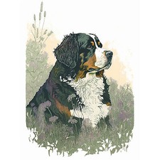 Bernese Mountain Dog in Wildflower Field Huge Wall Art Print Picture 18X24 In