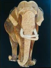 250g Dried Banana Leaves Pet Supplies Fish Aquarium Shrimp Cleaning 100 Organic