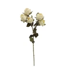 Dry Look Faux Silk Rustic Rose Flower and Leaf Stem 5 Heads 43cm/17in Ivory