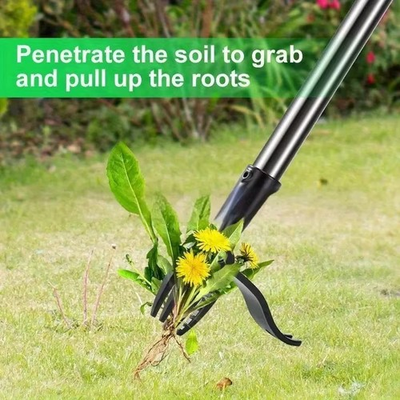 #ad 4 Prong Weed Puller – Stainless Steel Long Handle Root Remover $8.99