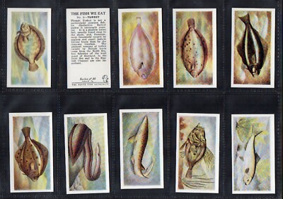 TRADE/ cigarette cards The fish we eat, Cod, Lobster, Turbot, Halibut,  Mackerel