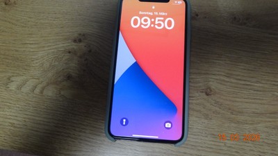 Apple iPhone XS Max A2101 (GSM) - 64GB - Silber (Ohne Simlock) (Dual-SIM+e-Sim