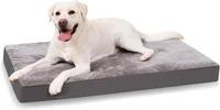 OrthopäDisches Hundebett FüR GroßE Hunde, Xl Waschbar Hundekissen Flauschig Hund