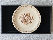 Vintage Johnson Brothers Staffordshire Old Gr...