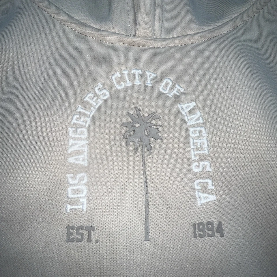 Sudadera con capucha para hombre pequeña con City of Los Angeles bordada y palmera calce relajado Foto 2 de 4