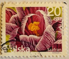 Poland 2016 Saffron Stamp Cancelled
