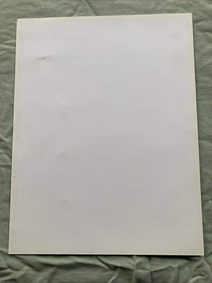 Cubierta superior Cardenales de San Luis 1992 100 aniversario 8 x 10 edición limitada  Foto 3 de 4