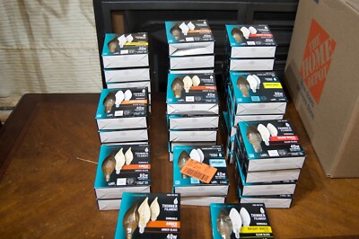 Lot of 135 Ecosmart B11 LED light bulbs...11 different variations...45 boxes