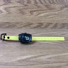 D.T. Systems DT Systems Add-On or Replacement Training Collar Receiver, Blaze...