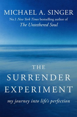 The Surrender Experiment | My Journey into Life's Perfection | Michael A. Singer