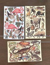 Vintage Grossman s Gifted Line Stickers Animals 3 sheets