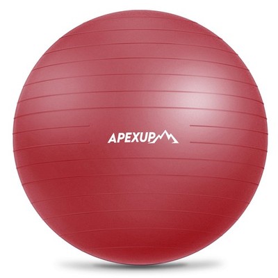 APEXUP Yoga Ball Exercise Ball Anti Slip Heavy Duty for Fitness, Balance & Co...