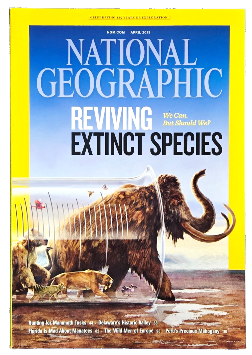 REVIVING EXTINCT ICE AGE SPECIES APRIL 2013 NATIONAL GEOGRAPHIC MAGAZINE