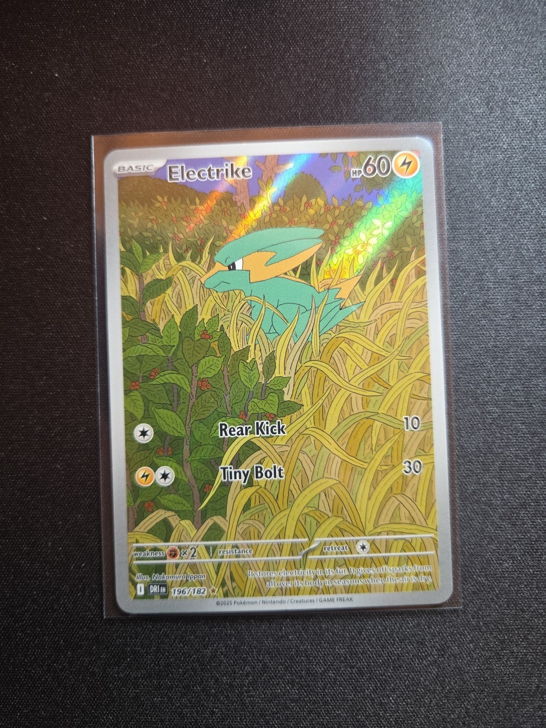 Electrike 196/182 - Pokemon TCG - Destined Rivals Illustration Rare Holo - M/NM