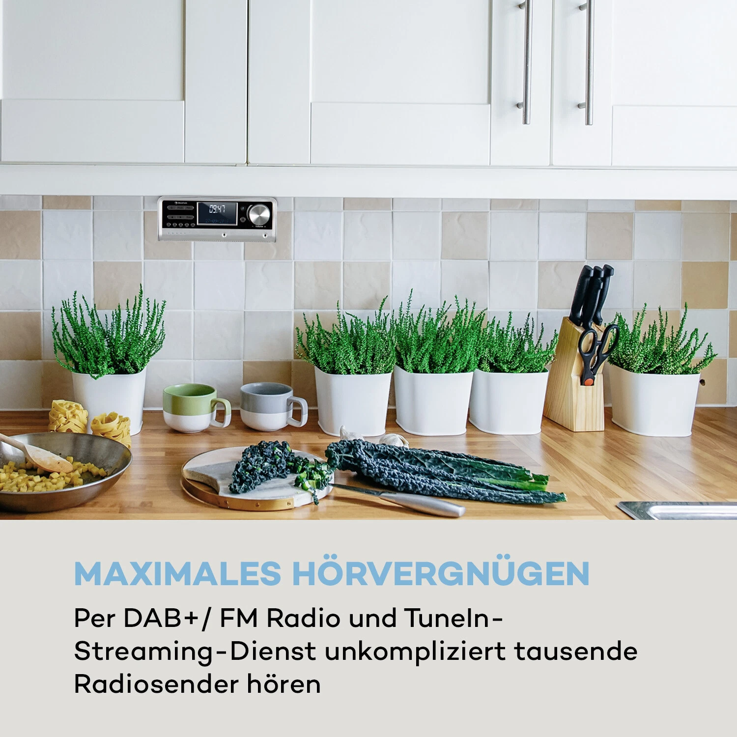 Bild 3 von 12