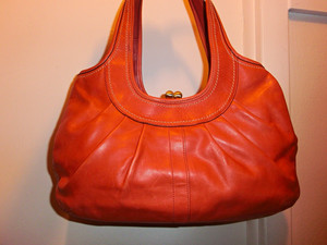 Coach Ergo Kisslock Bag | eBay