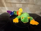 RARE VINTAGE Ty Beanie Buddy "Smoochy" the Frog & "Inch" the Worm- Retired NWMTs