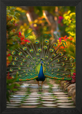 Peacocks Garden Glory Framed Wall Art Poster Canvas Print Picture