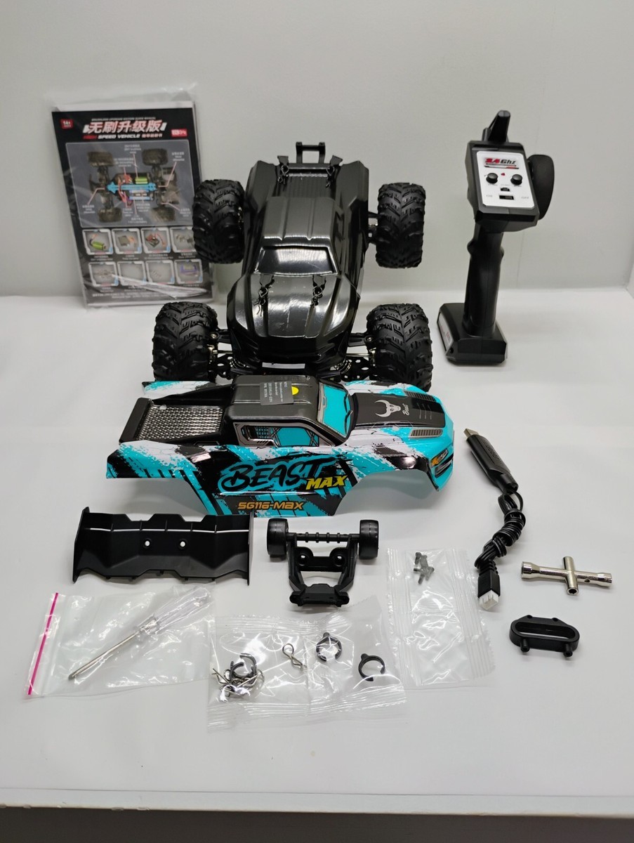 The Beast Max Obsidian (ZLL SG 116 Max) | eBay