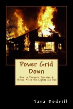 Power Grid Down: Prepare, Survive, and Thrive After The Lights Go Out by Tara Do