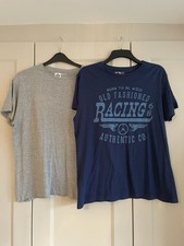 2 Cedar Wood State T-Shirts Men’s Grey/Blue Size Large
