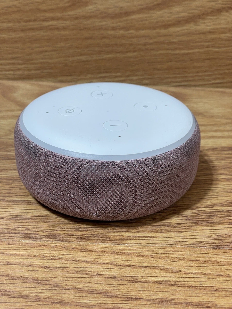 Google home mini vs echo dot 3 sale