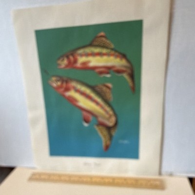 Golden Trout Art Print by Weber National Wildlife Federation Paper 16x12 in