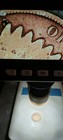 1902 P Indian Head Cent Red Error Very Fine + See Photos  — photo 8