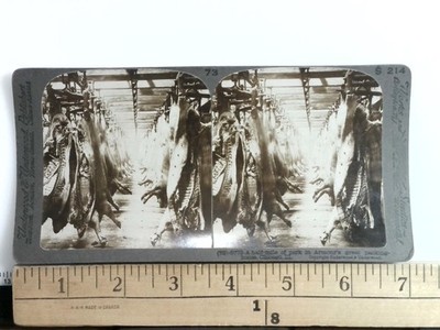 Armour's Packing House Stereoview Underwood & Underwood 1900s Chicago