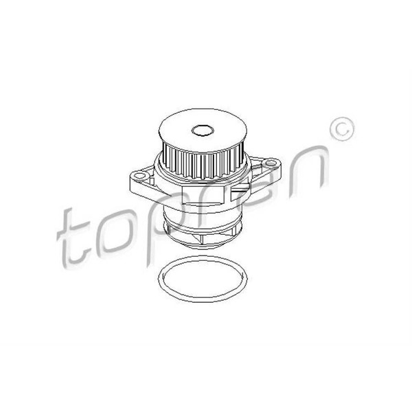 Topran Wasserpumpe Mechanisch FüR Vw Golf Iv 1J1 1J5 Bora 1J2 1J6 6X1 6E1-image
