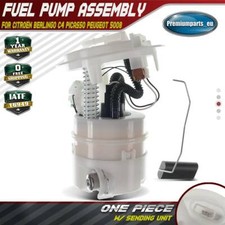 Fuel Pump Assembly for Citroën Berlingo C4 Picasso Peugeot 5008 Partner 1.6L